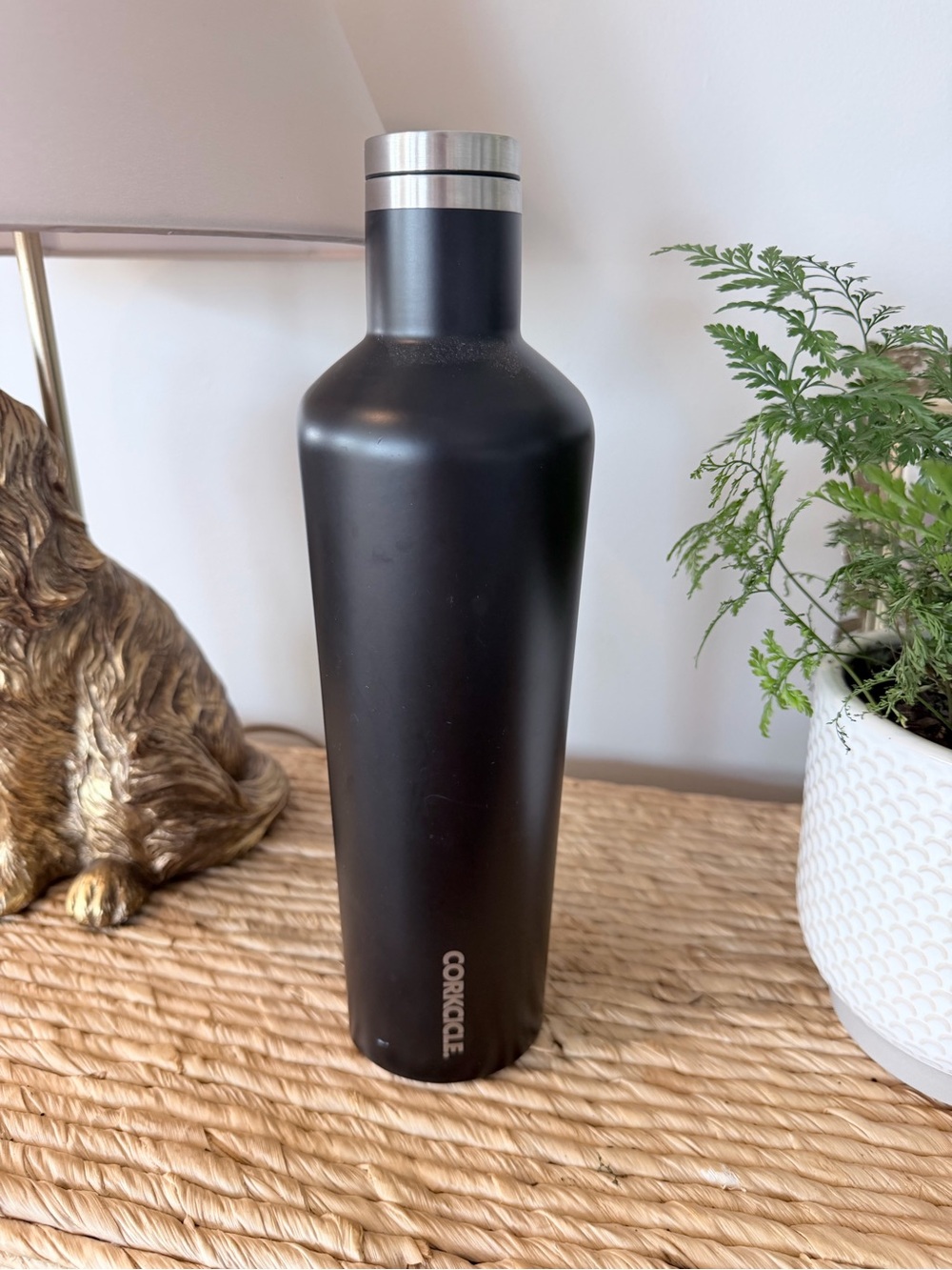 Corkcicle Matte Black Insulated Bottle with Silver Cap